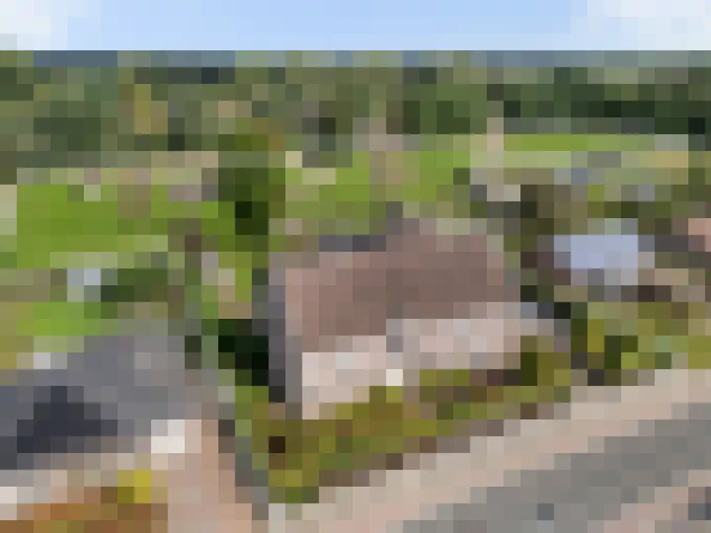 Geel-groenlaan 96 Zoetermeer thumbnail 34