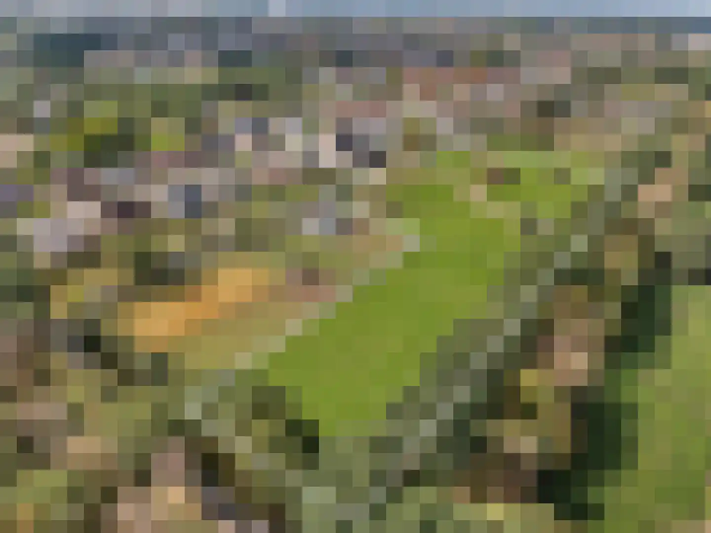 Geel-groenlaan 96 Zoetermeer thumbnail 35