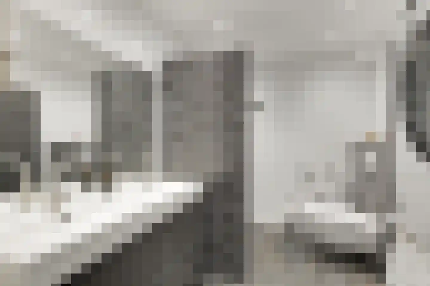 Geel-groenlaan 96 Zoetermeer thumbnail 36