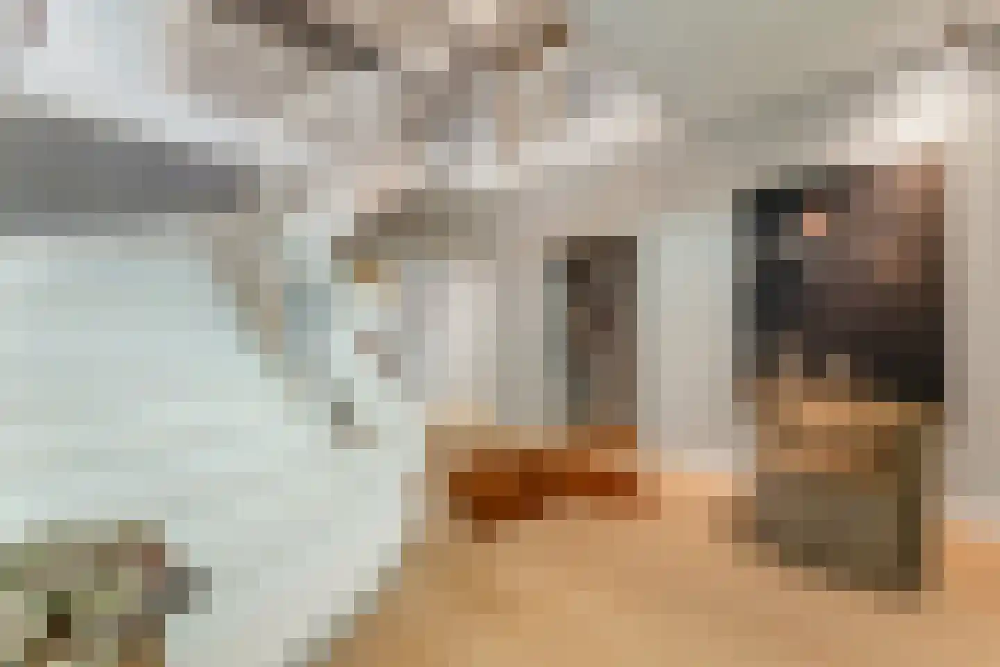 Geel-groenlaan 96 Zoetermeer thumbnail 6