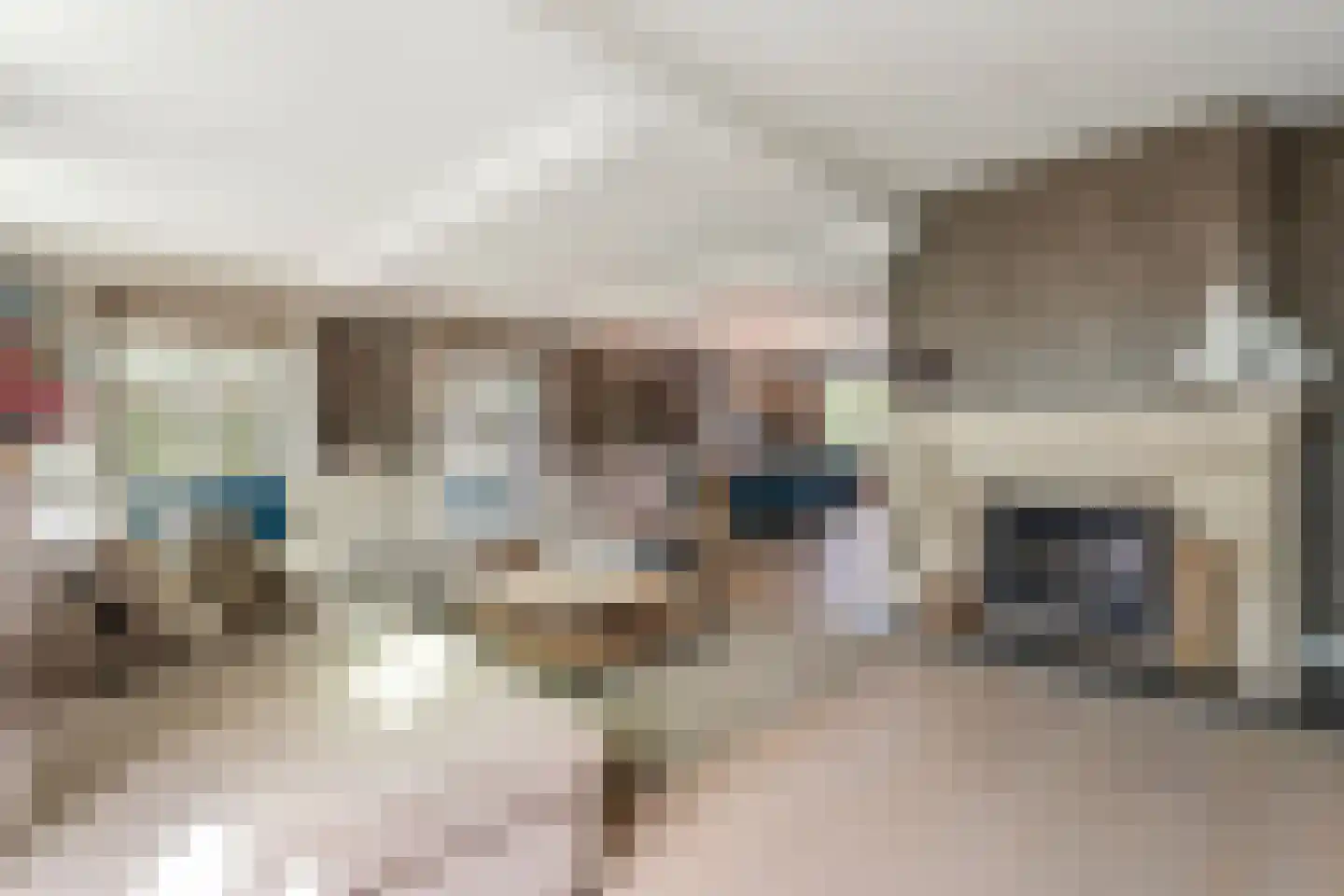 Geel-groenlaan 96 Zoetermeer thumbnail 7