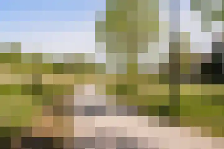 Geelgieterhof 5 Schiedam thumbnail 35