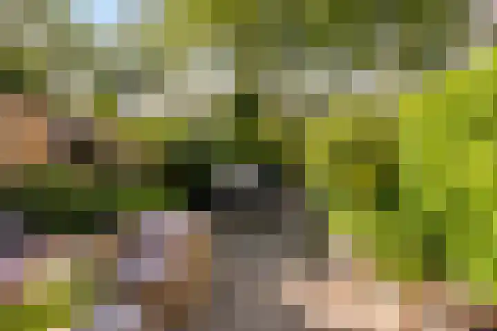 Geelgieterhof 5 Schiedam thumbnail 4