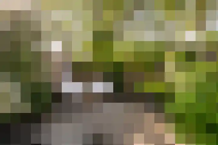 Geelgieterhof 5 Schiedam thumbnail 5