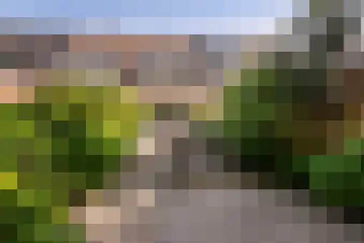 Geelgieterhof 5 Schiedam thumbnail 6