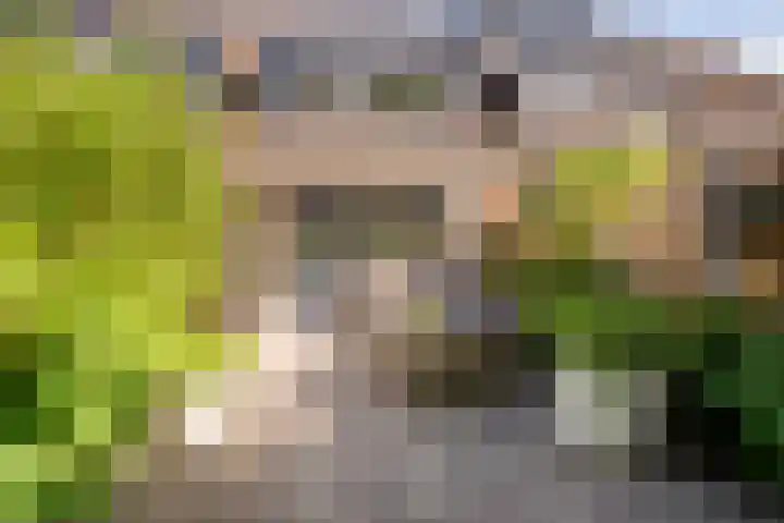 Geelgieterhof 5 Schiedam thumbnail 7