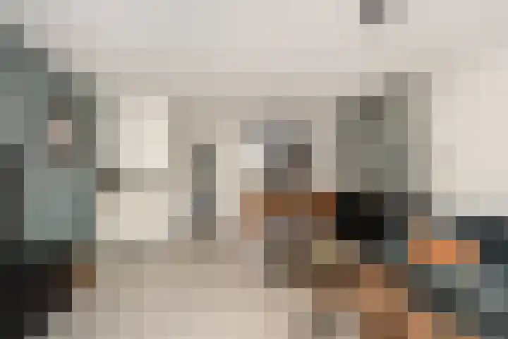 Geelgieterhof 5 Schiedam thumbnail 8