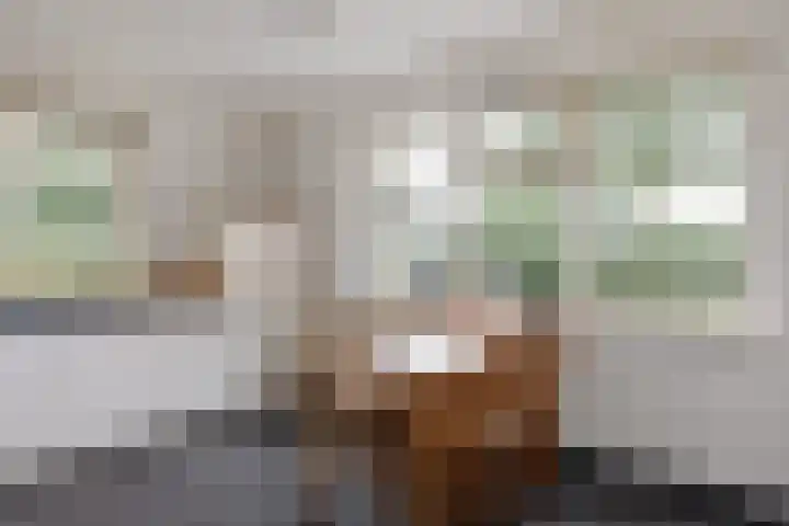 Geelgors 1 Tubbergen thumbnail 10