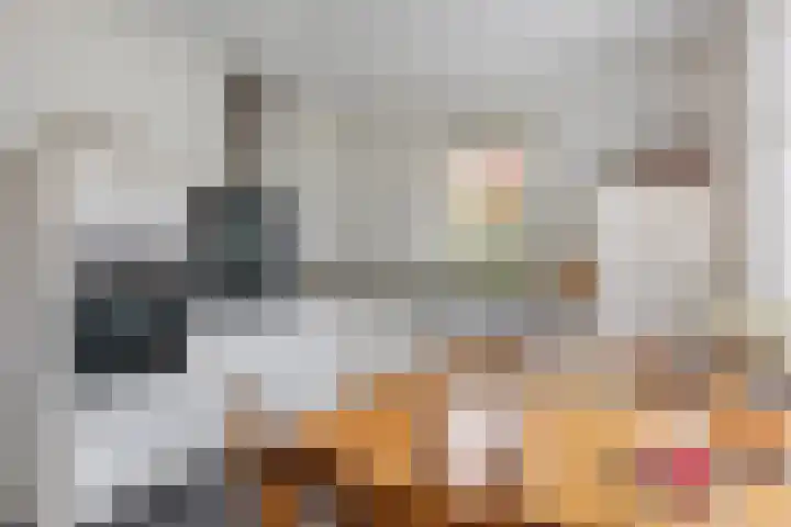 Geelgors 1 Tubbergen thumbnail 11