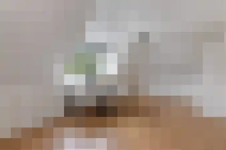 Geelgors 1 Tubbergen thumbnail 17