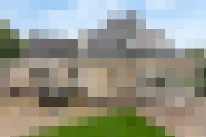 Geelgors 1 Tubbergen thumbnail 19