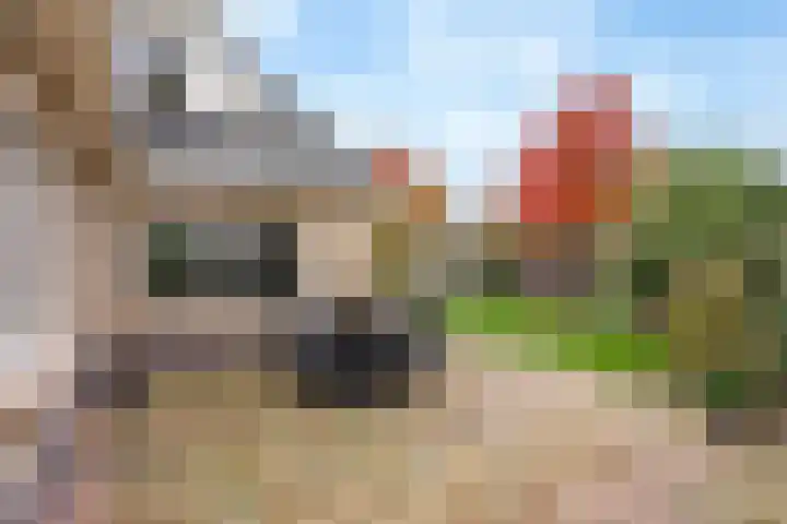Geelgors 1 Tubbergen thumbnail 20