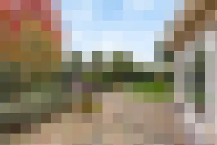 Geelgors 1 Tubbergen thumbnail 21