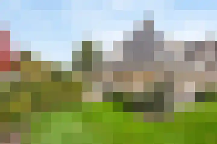Geelgors 1 Tubbergen thumbnail 6