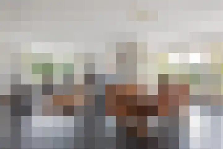 Geelgors 1 Tubbergen thumbnail 7
