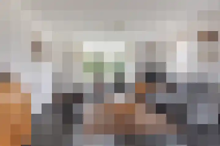 Geelgors 1 Tubbergen thumbnail 8