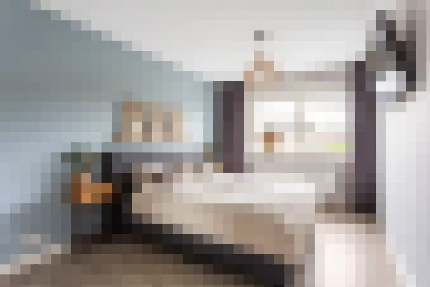 Geelgors 15 a Tubbergen thumbnail 16