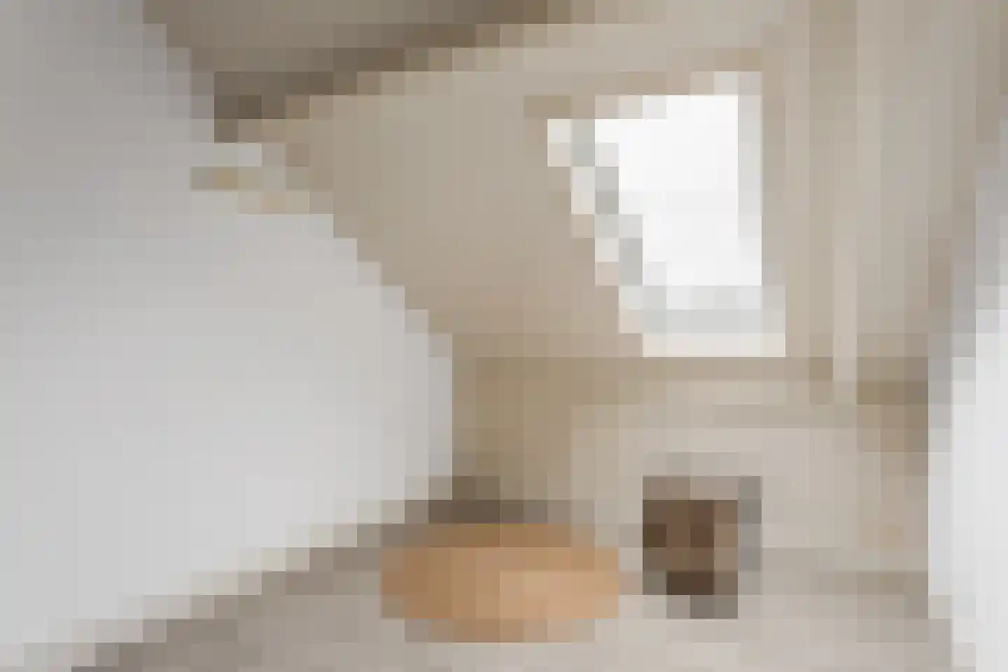 Geelgors 15 a Tubbergen thumbnail 21