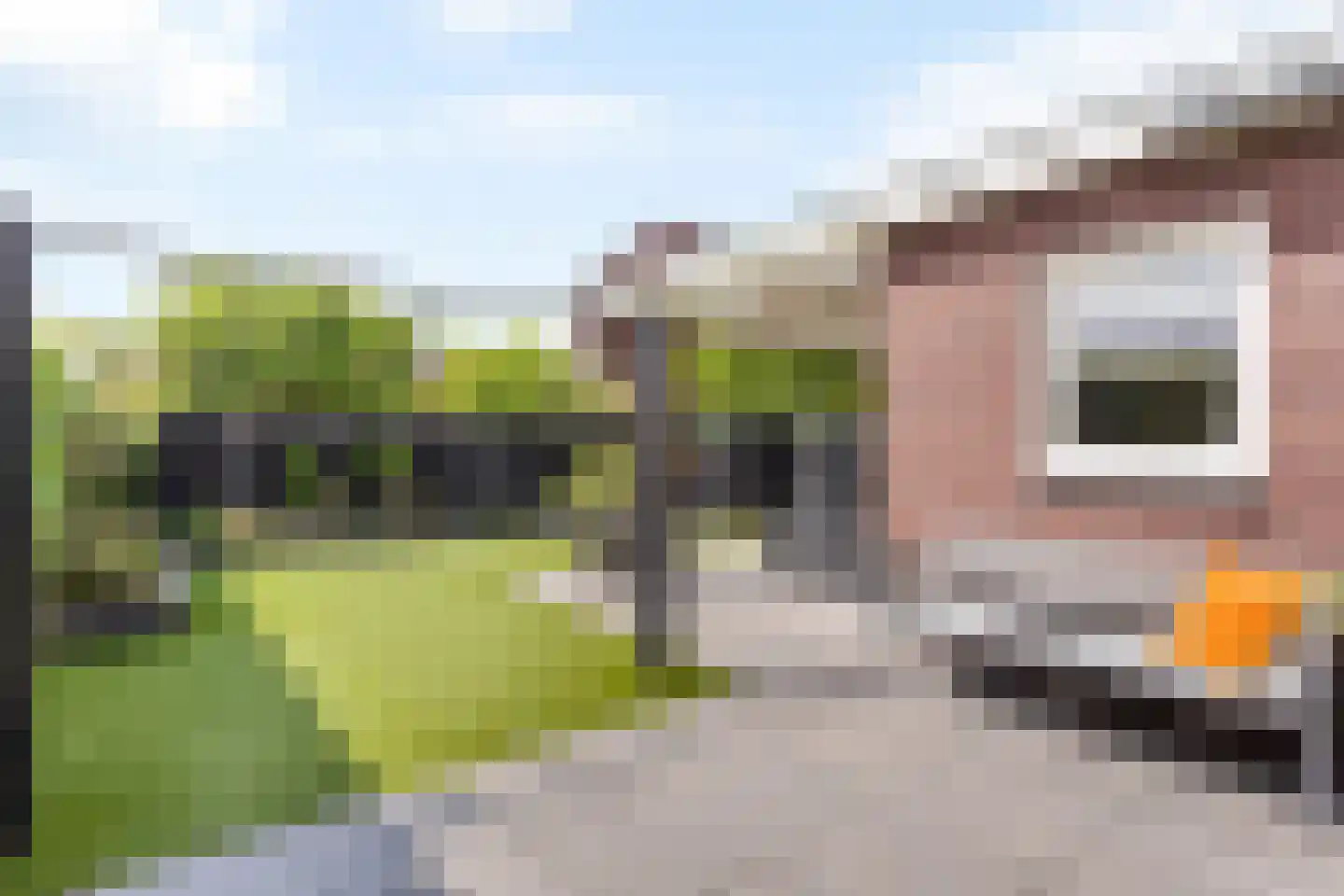 Geelgors 15 a Tubbergen thumbnail 24