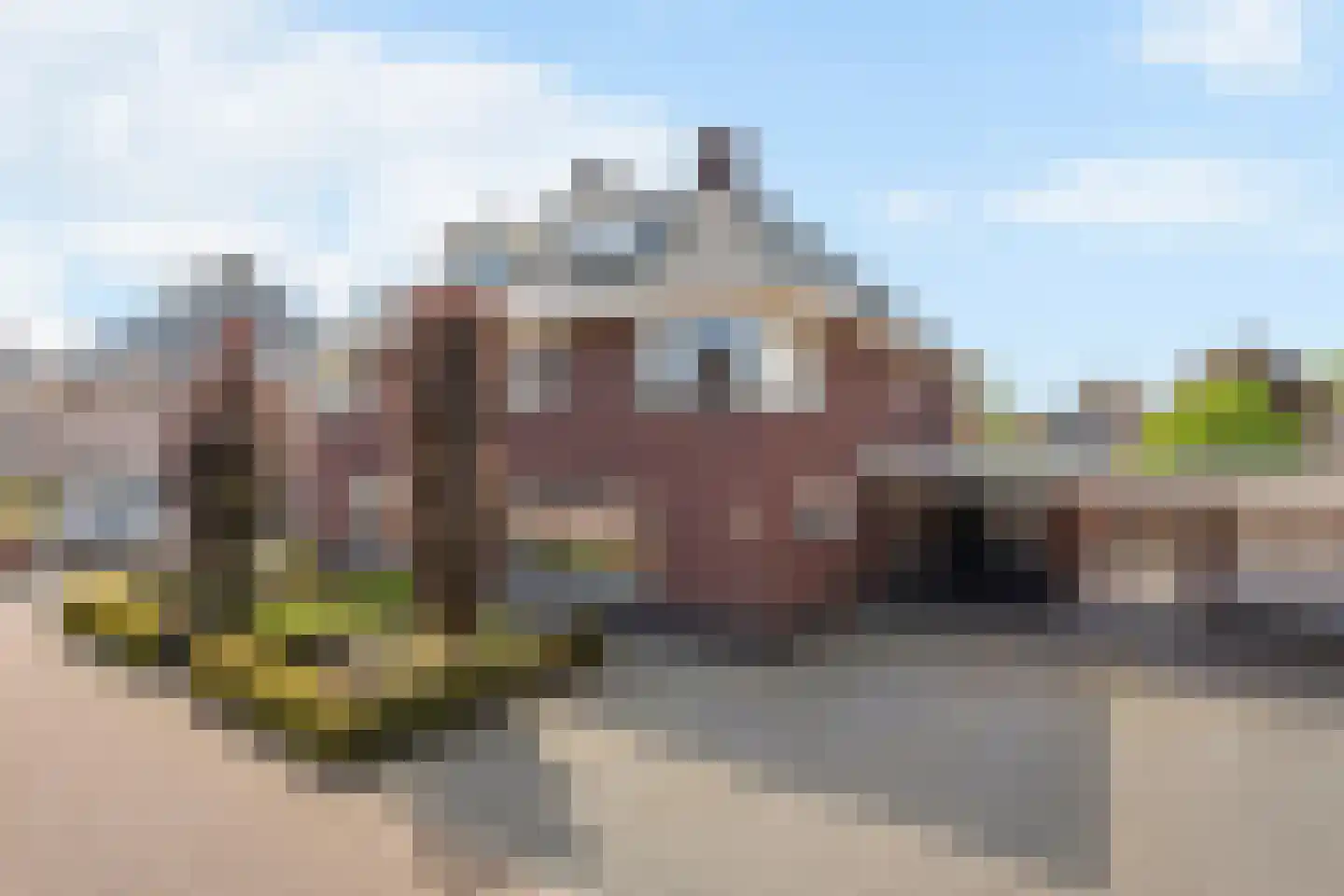 Geelgors 15 a Tubbergen thumbnail 5