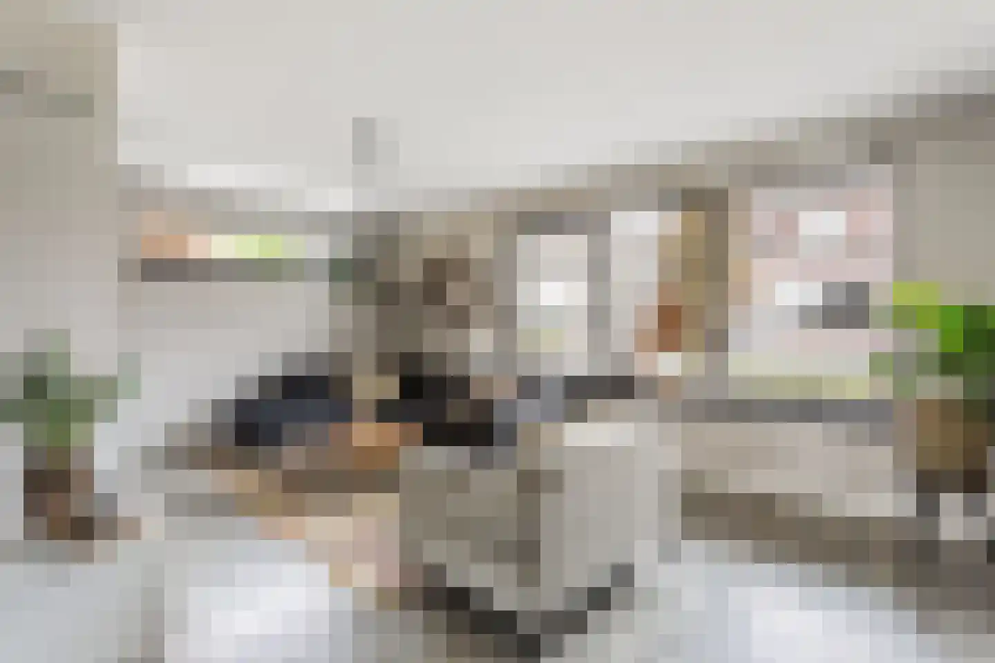 Geelgors 15 a Tubbergen thumbnail 6
