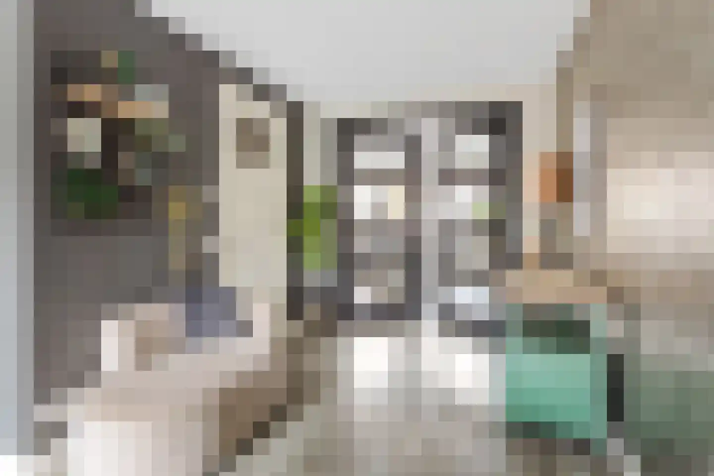 Geelgors 15 a Tubbergen thumbnail 8