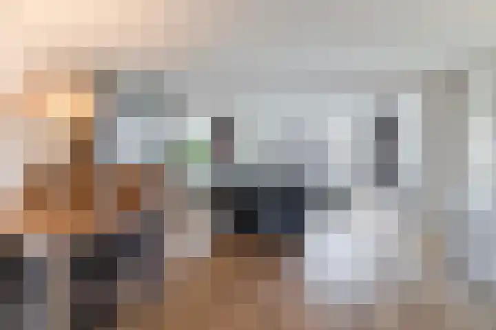 Geelgors 20 Sint-Oedenrode thumbnail 17