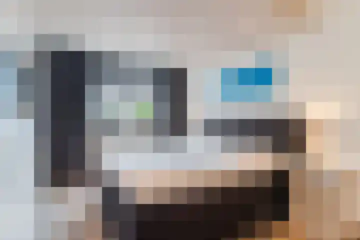 Geelgors 20 Sint-Oedenrode thumbnail 37