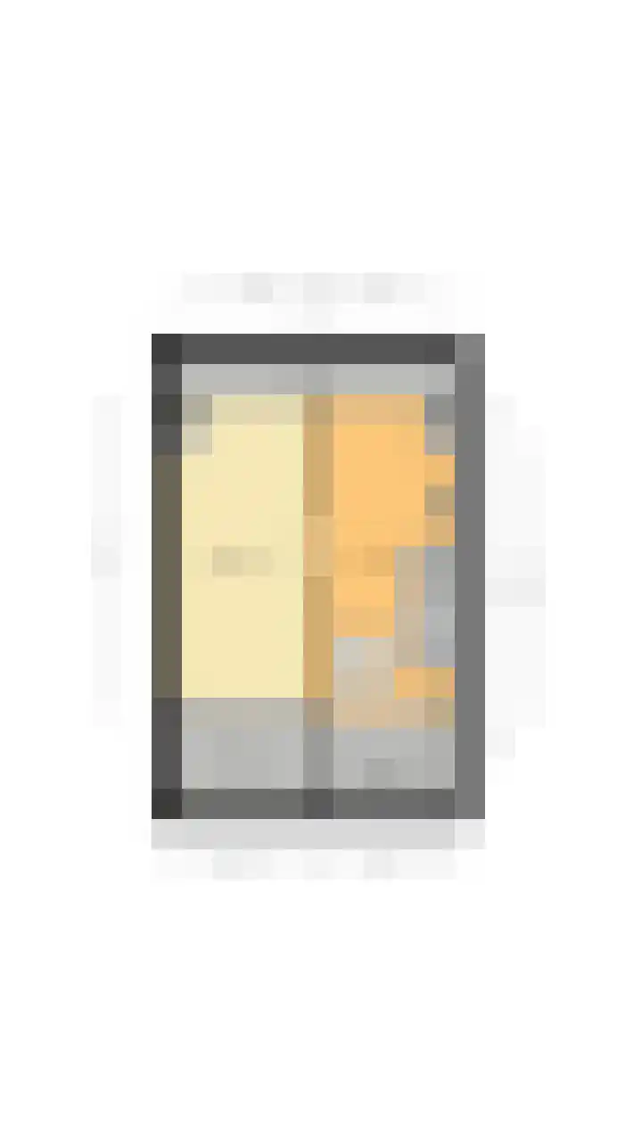 Geelgors 20 Sint-Oedenrode thumbnail 48