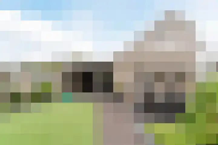 Geelgors 20 Sint-Oedenrode thumbnail 55