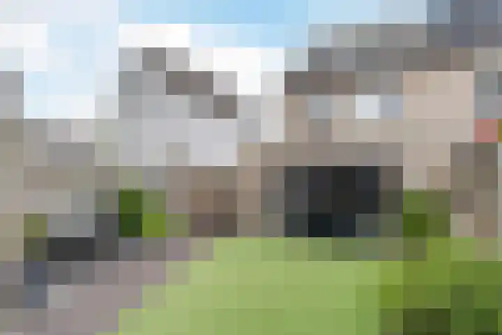 Geelgors 20 Sint-Oedenrode thumbnail 59