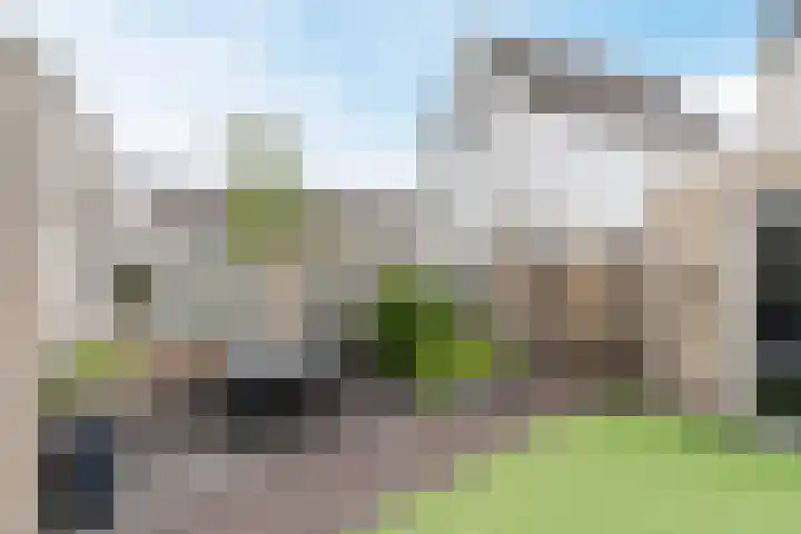 Geelgors 20 Sint-Oedenrode thumbnail 61