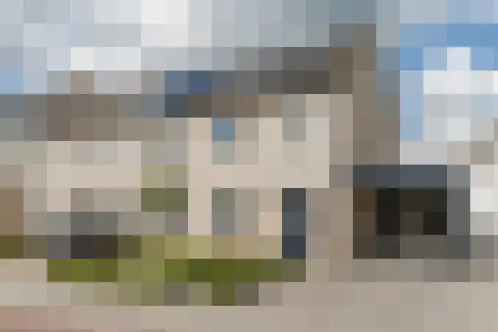 Geelgors 20 Sint-Oedenrode thumbnail 62