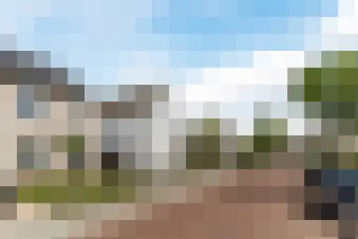 Geelgors 20 Sint-Oedenrode thumbnail 64