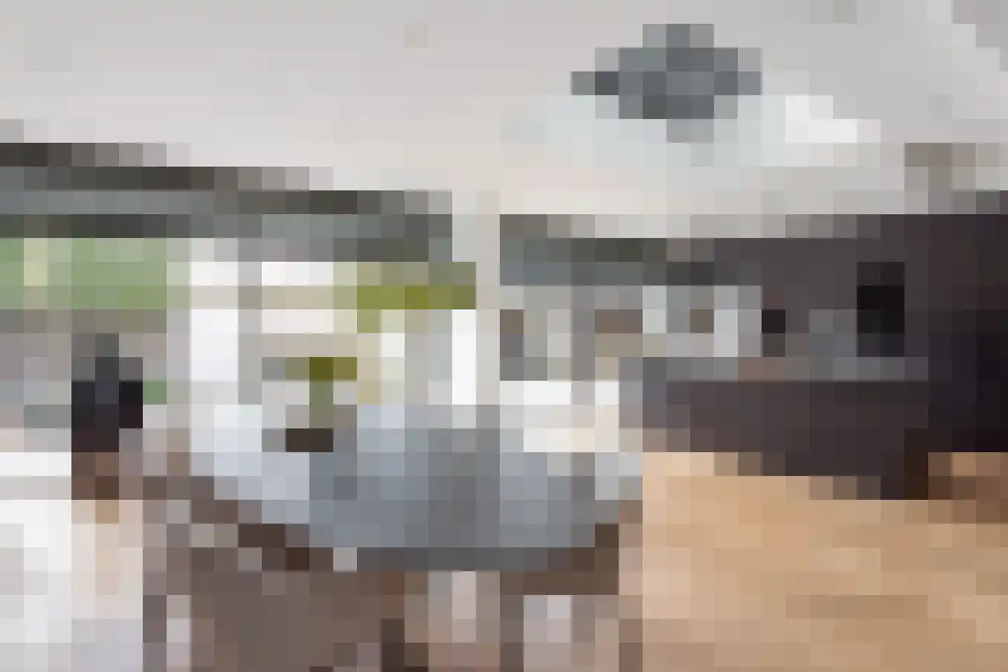 Geelgors 7 Tubbergen thumbnail 10