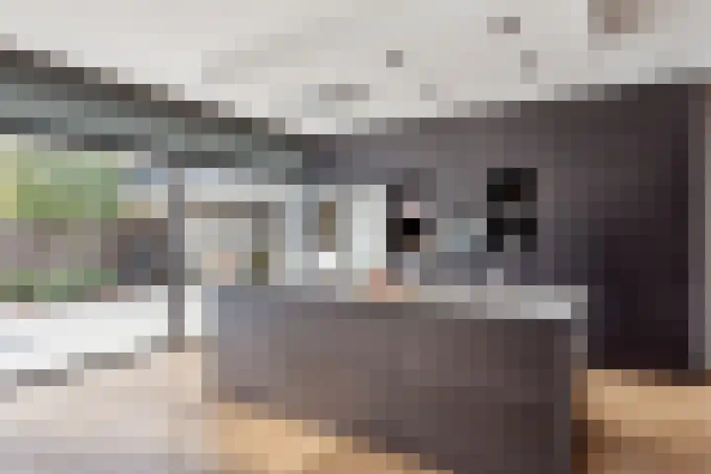 Geelgors 7 Tubbergen thumbnail 11
