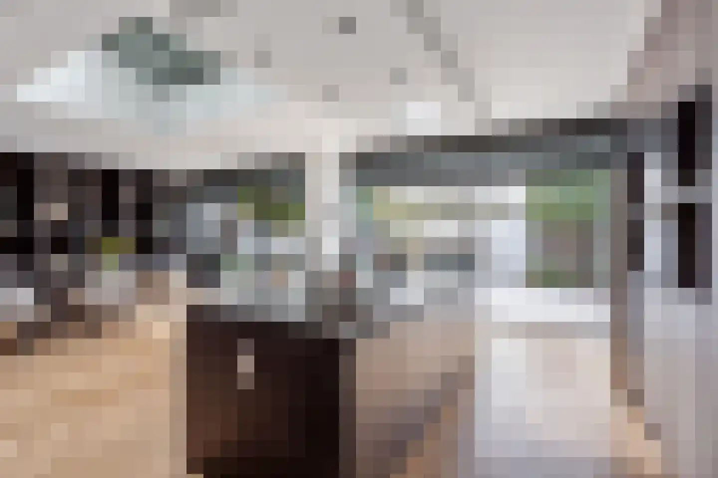 Geelgors 7 Tubbergen thumbnail 12