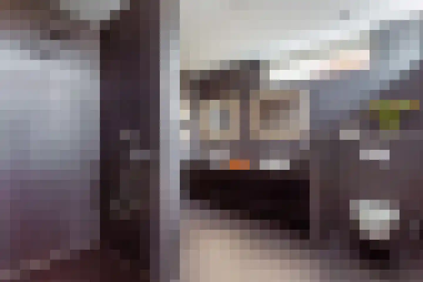 Geelgors 7 Tubbergen thumbnail 14