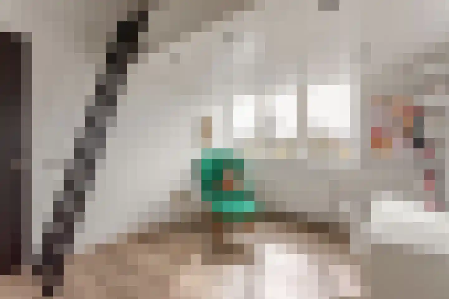 Geelgors 7 Tubbergen thumbnail 22