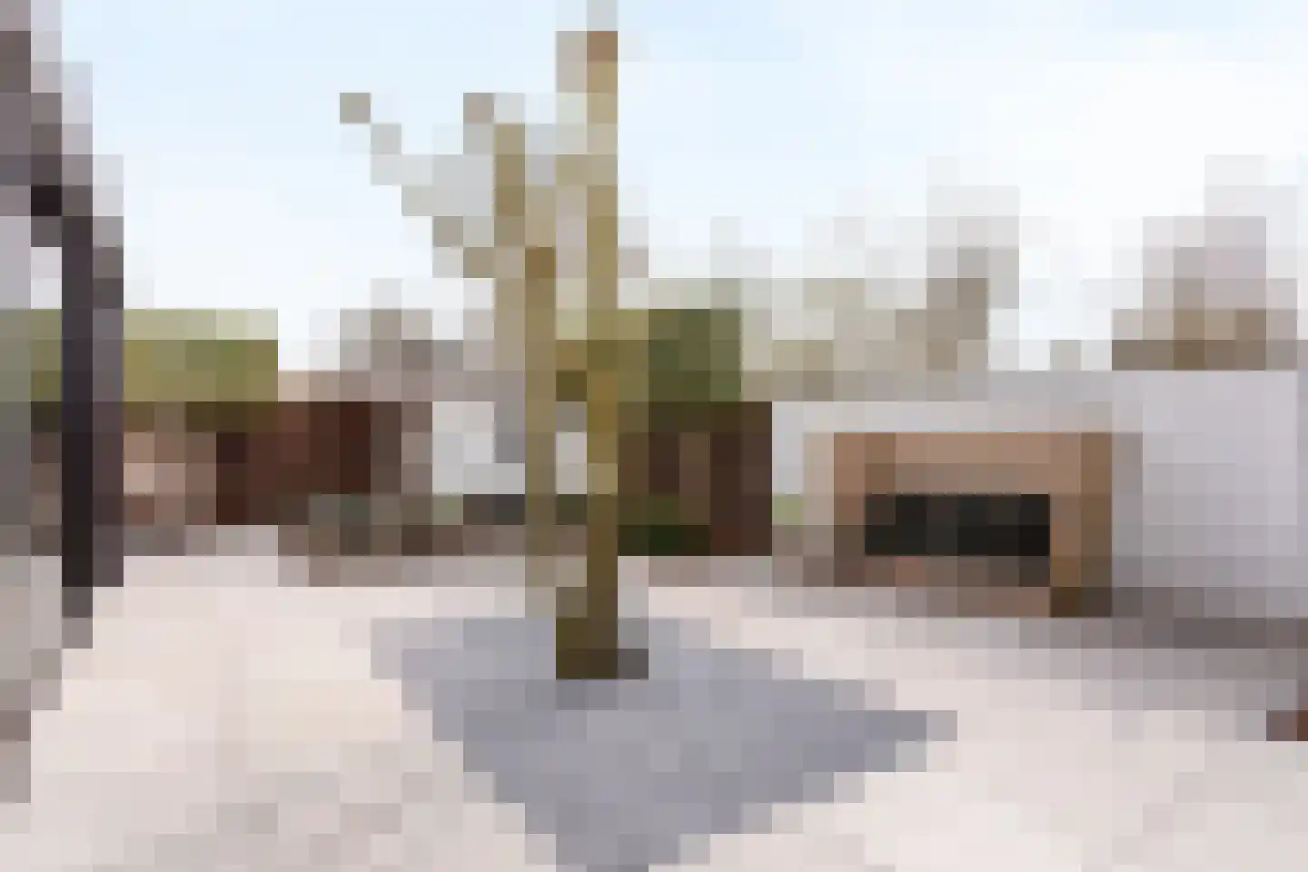Geelgors 7 Tubbergen thumbnail 24
