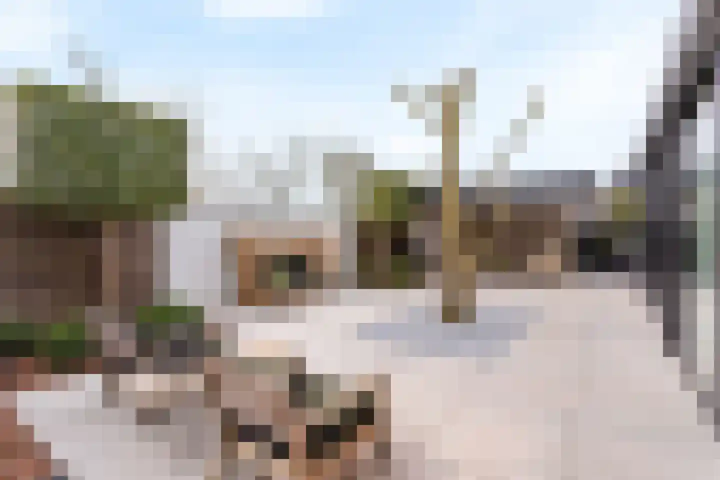 Geelgors 7 Tubbergen thumbnail 25