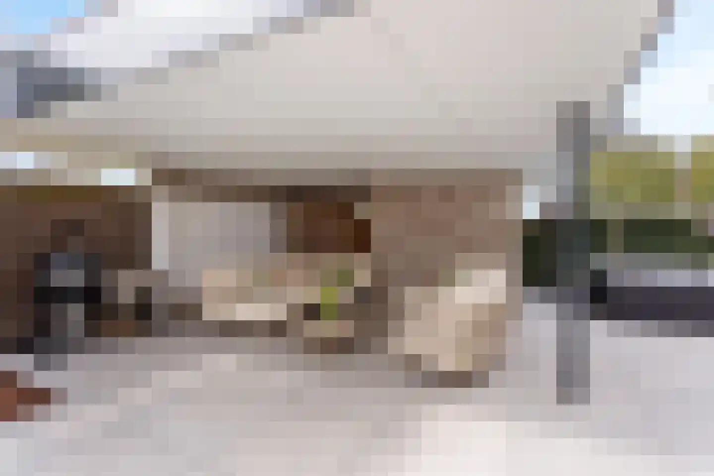 Geelgors 7 Tubbergen thumbnail 26