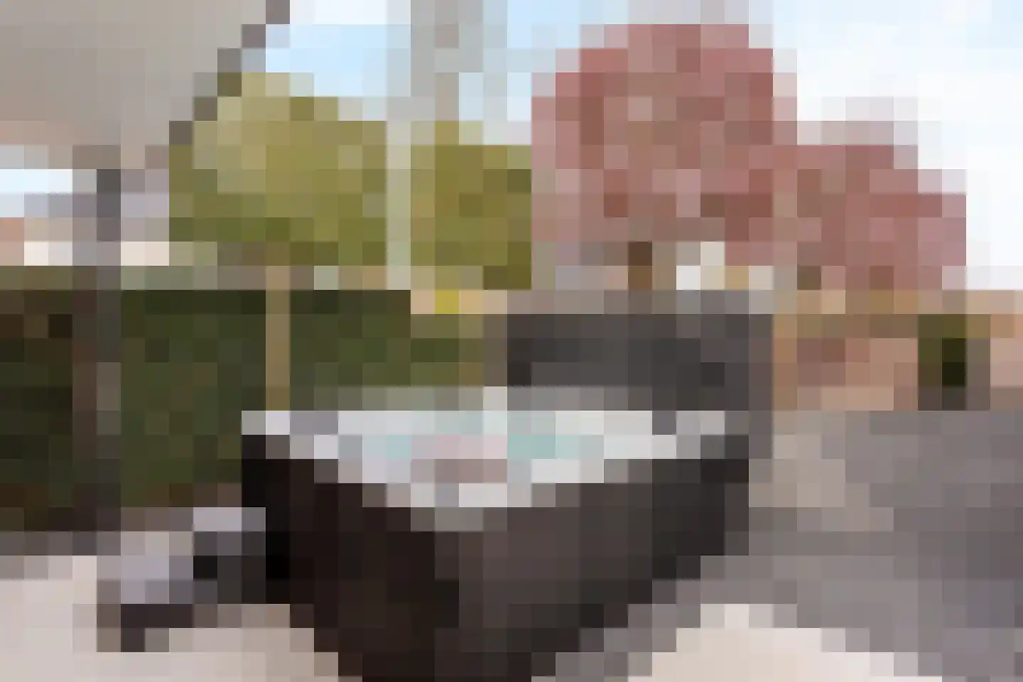 Geelgors 7 Tubbergen thumbnail 27