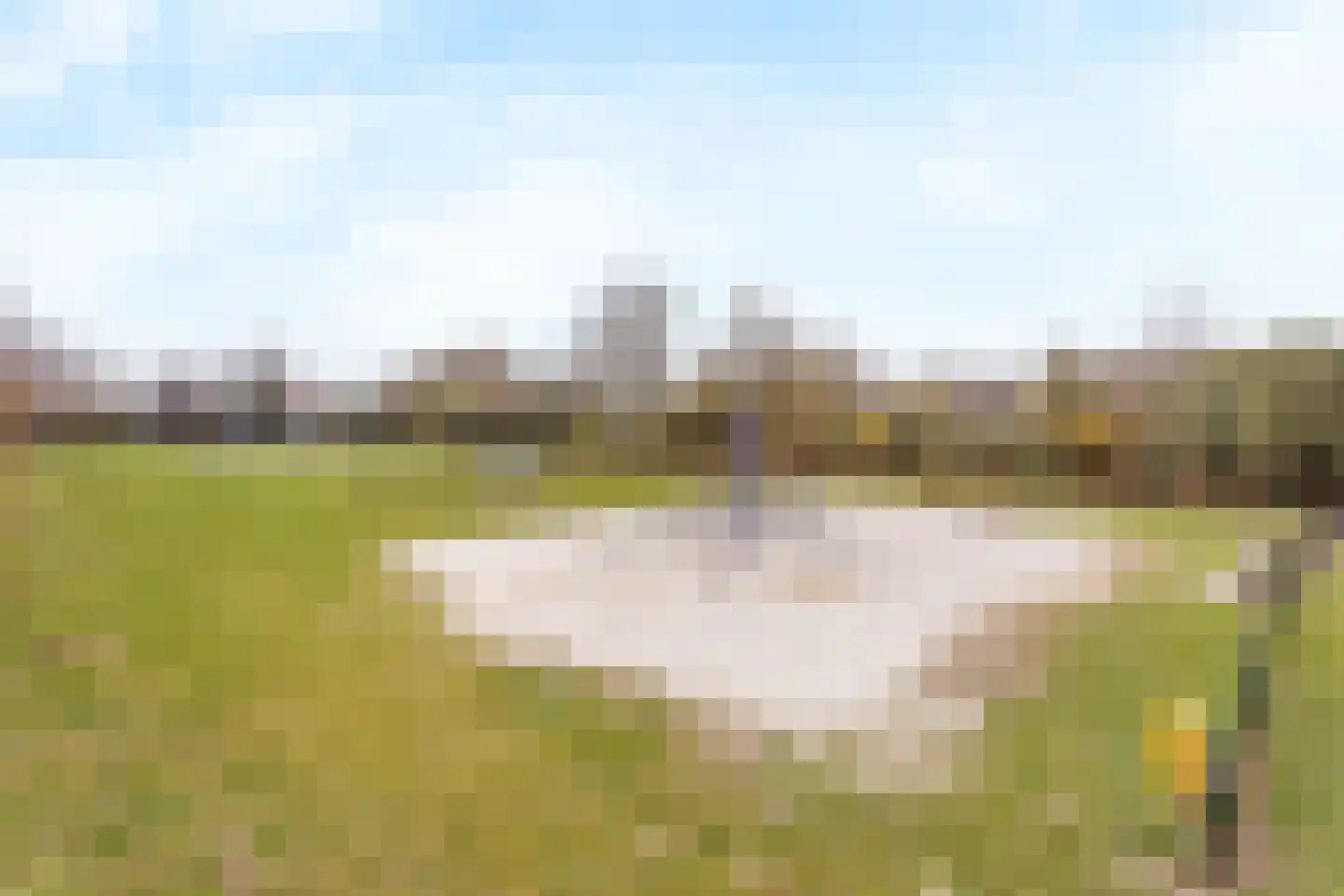 Geelgors 7 Tubbergen thumbnail 28
