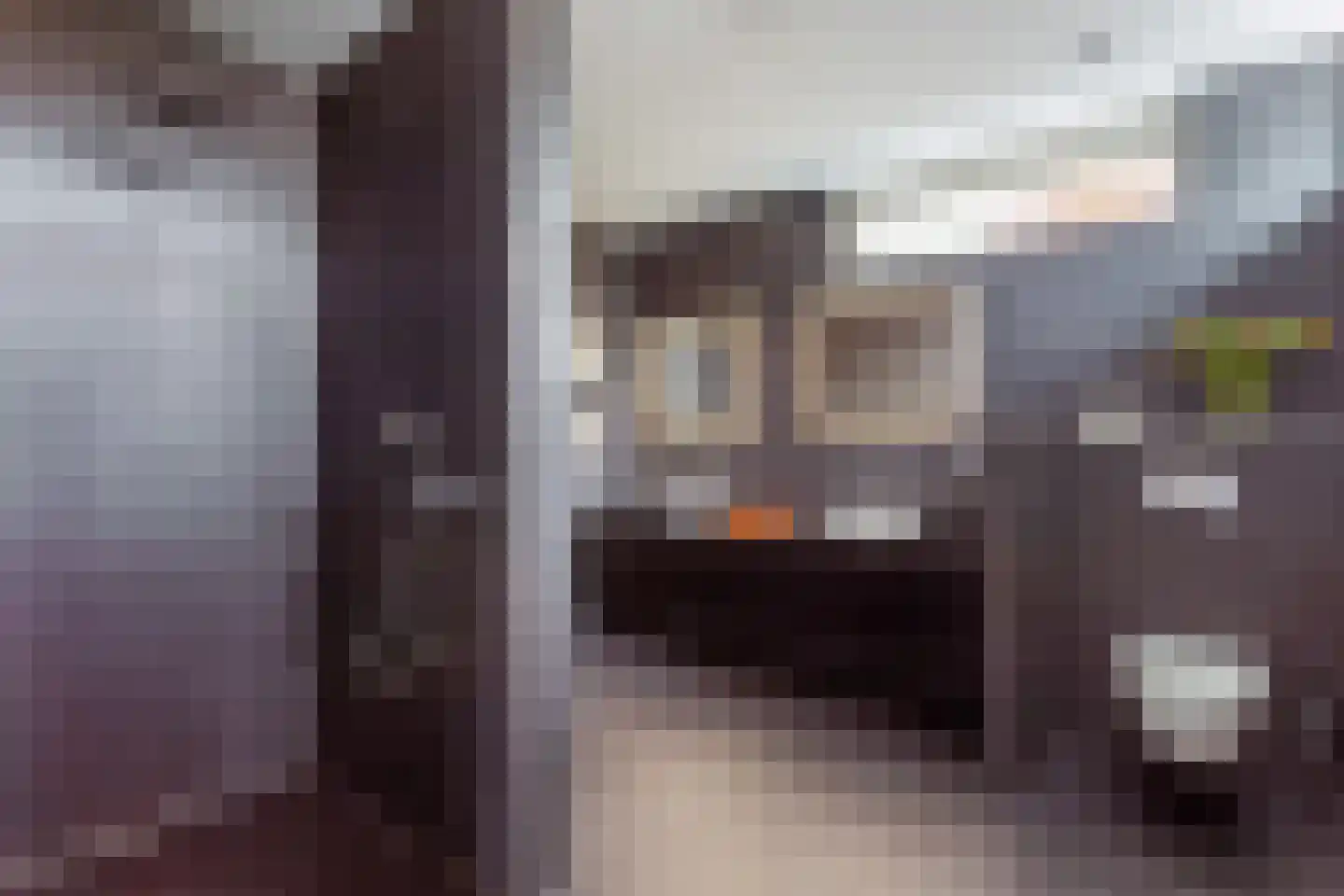 Geelgors 7 Tubbergen thumbnail 4