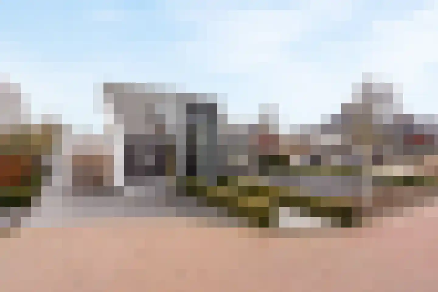 Geelgors 7 Tubbergen thumbnail 5