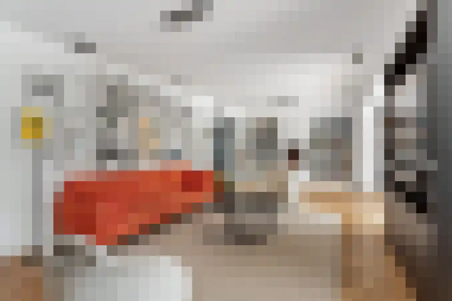 Geelgors 7 Tubbergen thumbnail 8