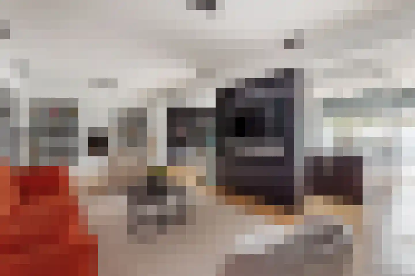 Geelgors 7 Tubbergen thumbnail 9
