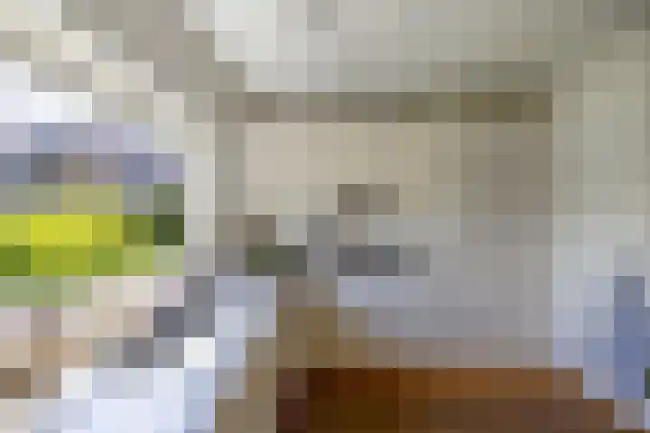 Geelgors 9 Blaricum thumbnail 10
