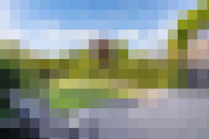 Geelgors 9 Blaricum thumbnail 13